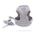 Mesh Mignon Dog Vest Harness and Leah set